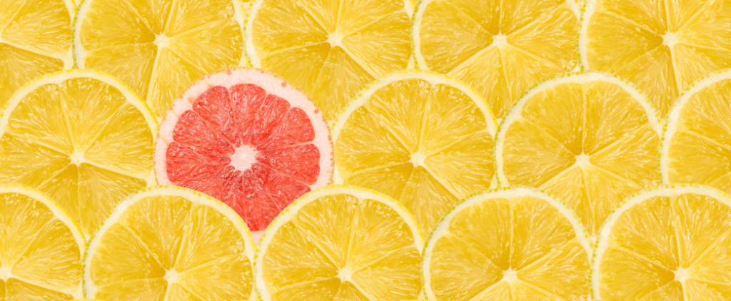 Référencement SEO Reims